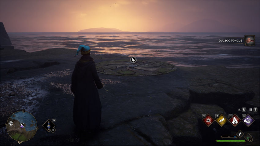 испытания Мерлина Hogwarts Legacy