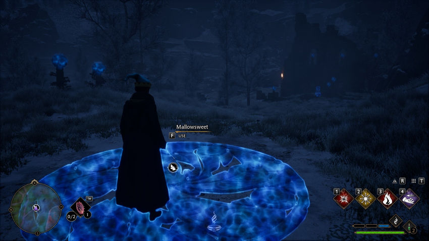 испытания Мерлина Hogwarts Legacy