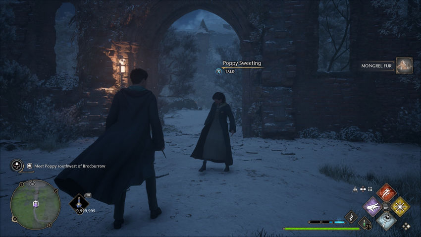 дополнительные задания Hogwarts Legacy