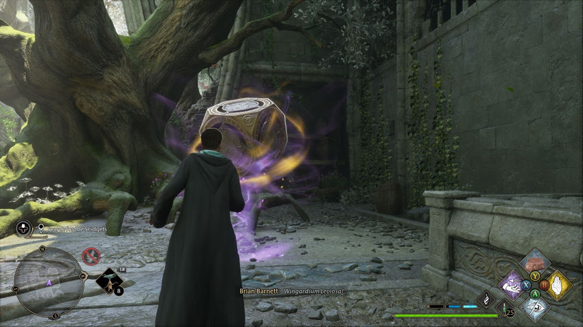 дополнительные задания Hogwarts Legacy