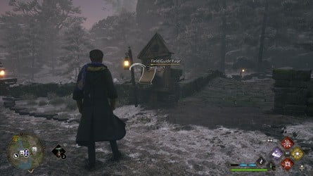 Расположение всех страниц полевого руководства > Болото Северного Форда > Знак паука — 3 из 4