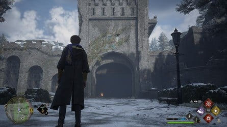 Расположение всех страниц полевого руководства > Долина Хогсмид > Яйцо Рунеспур — 1 из 4