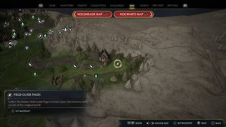 Расположение всех страниц полевого руководства > Долина Хогсмид > Яйцо Рунеспур — 4 из 4