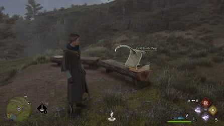 Все страницы полевого справочника