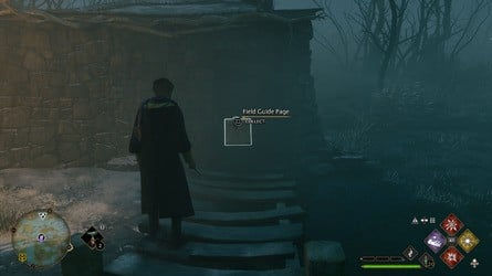 Расположение всех страниц полевого руководства > Болото Южного моря > Заброшенный боти - 3 из 4