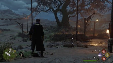 Расположение всех страниц полевого руководства > Крагкрофтшир > Гигантское тенистое дерево — 2 из 4