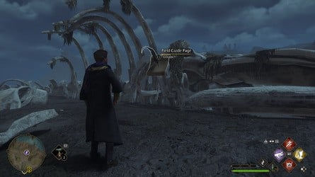 Расположение всех страниц полевого руководства > Крагкрофтшир > Скелет дракона — 3 из 4