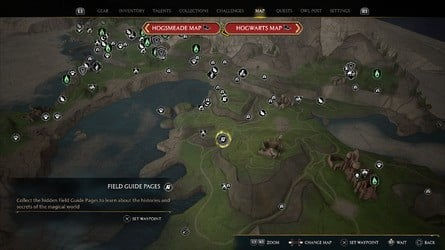 Все страницы полевого справочника