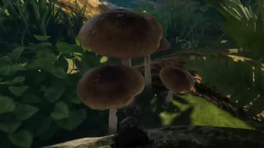 сбор ресурсов Smallland: Survive the Wilds