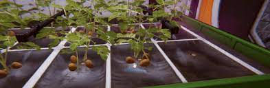 Occupy Mars: The Game. Картошка