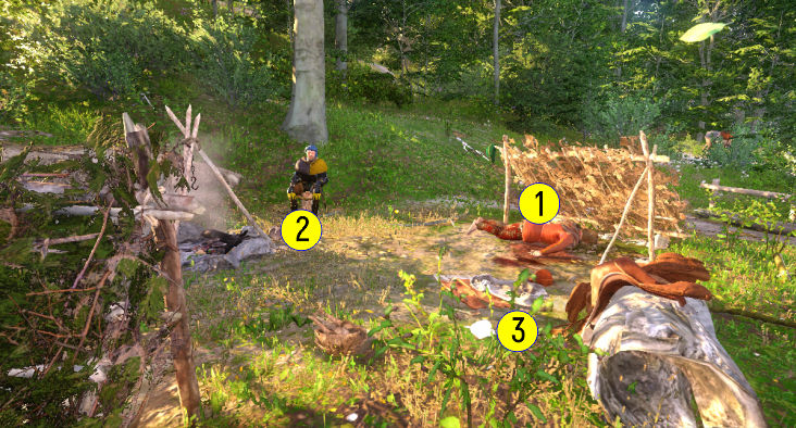 приключения яна птачека