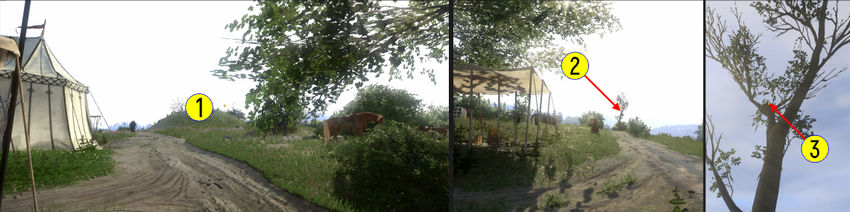 Kingdom Come Deliverance. Прохождение Шайка ублюдков