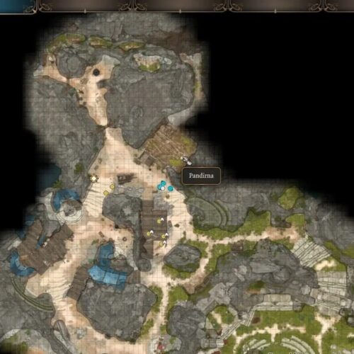 Baldur's Gate 3. Пандирна