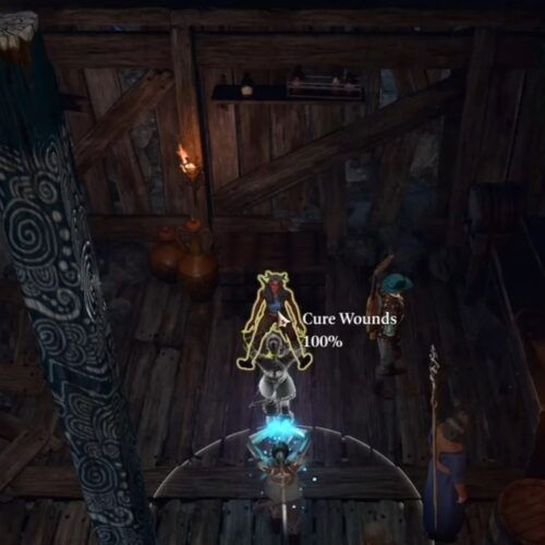 Baldur's Gate 3. Пандирна