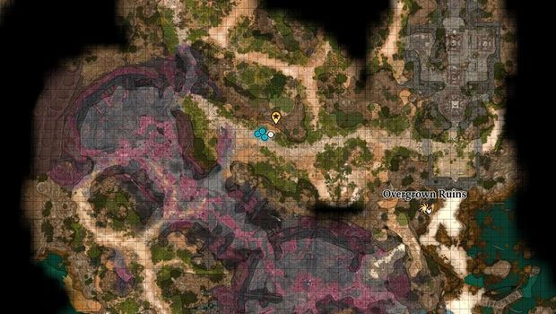 Baldur's Gate 3. Гейл
