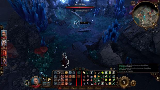 Baldur's Gate 3. Суссур