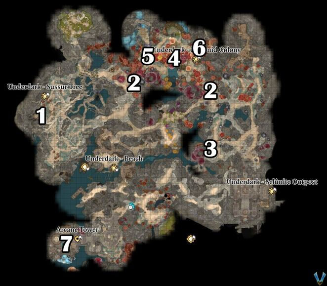 Baldur s Gate 3. Прохождение