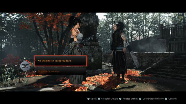 Rise of the Ronin. Побочные задания