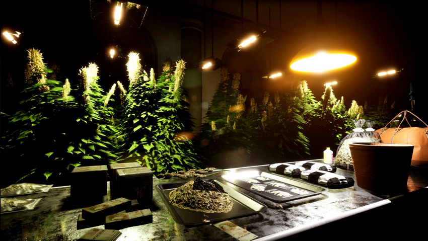 Drug Dealer Simulator 2. Советы