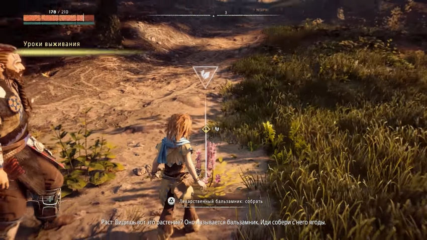 прохождение сюжета Horizon Zero Dawn