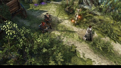 Divinity: Original Sin II скриншоты