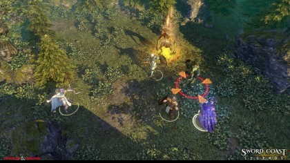 Sword Coast Legends скриншоты