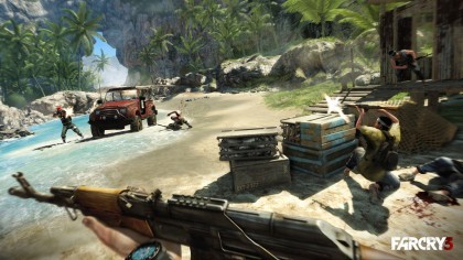 Far Cry 3 скриншоты