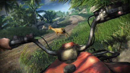 Far Cry 3 скриншоты