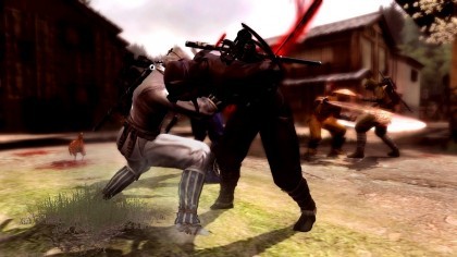 Ninja Gaiden 3 скриншоты