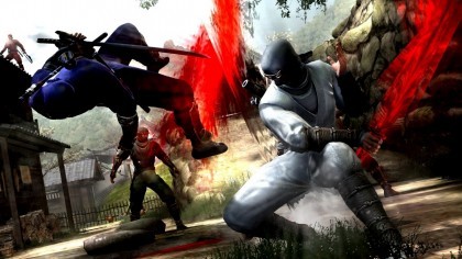 Ninja Gaiden 3 скриншоты