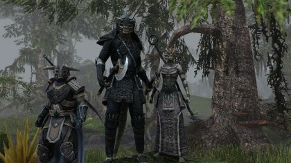 The Elder Scrolls Online скриншоты