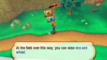 Story of Seasons скриншоты