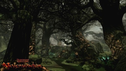 Neverwinter скриншоты