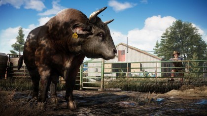 Far Cry 5 скриншоты