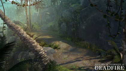 Pillars of Eternity 2: Deadfire скриншоты