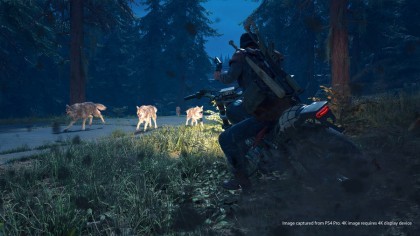 Days Gone скриншоты