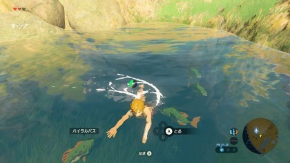 The Legend of Zelda: Breath of the Wild игра