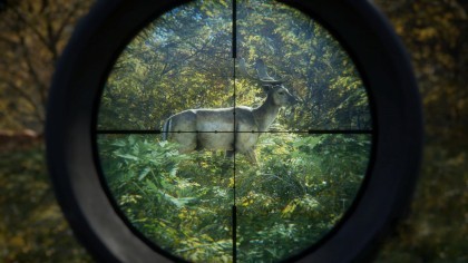 theHunter: Call of the Wild скриншоты