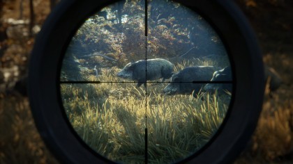 theHunter: Call of the Wild скриншоты