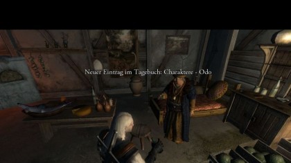 The Witcher скриншоты