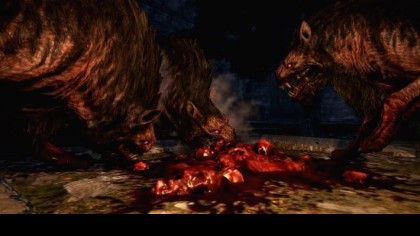 Dragon's Dogma: Dark Arisen скриншоты