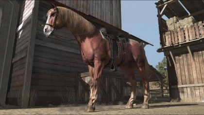 Скриншоты Red Dead Redemption