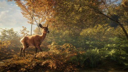 theHunter: Call of the Wild скриншоты