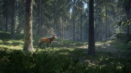 theHunter: Call of the Wild скриншоты