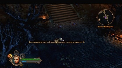 Dungeon Siege III скриншоты