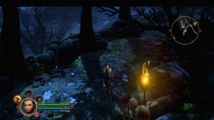 Dungeon Siege III скриншоты