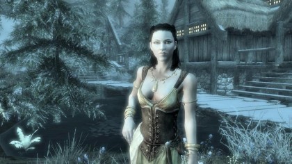 игра The Elder Scrolls V: Skyrim