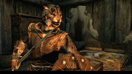 The Elder Scrolls V: Skyrim скриншоты