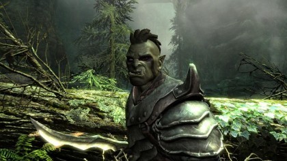 The Elder Scrolls V: Skyrim скриншоты