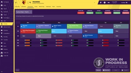 Football Manager 2019 скриншоты